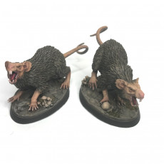 Picture of print of Midnight Goblins Giant Rats
