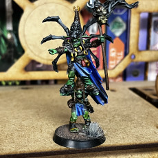 Picture of print of Midnight Goblins Priest of Norlax
