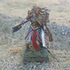 Picture of print of High elves Lion guard lord
