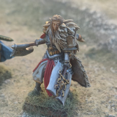 Picture of print of High elves Lion guard lord