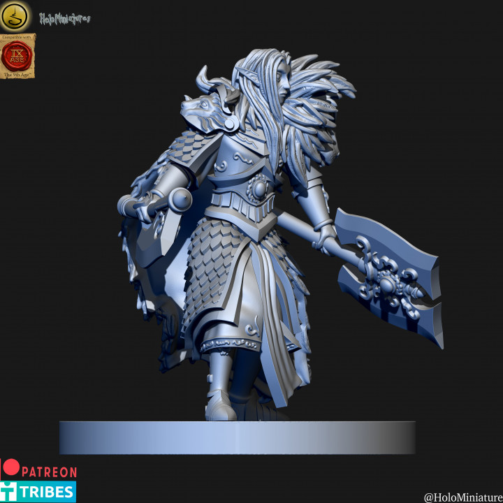 High elves Lion guard lord image