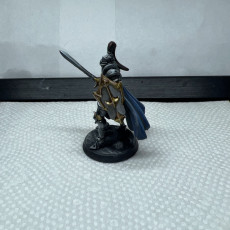 Picture of print of Female Knight 04 - Shield