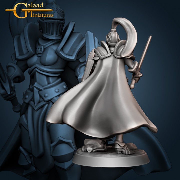 Female Knight 04 - Shield image