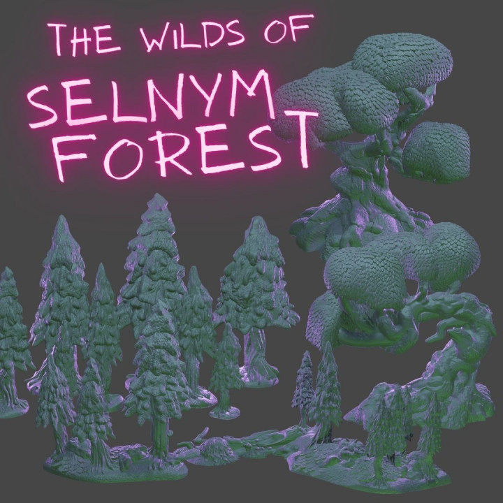 The Untamed Wilds of Selnym image