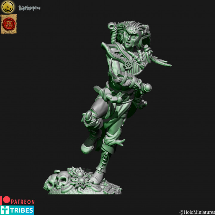 Wood elves Blade dancer lord image