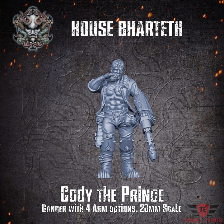 House Bharteth - Cody the Prince image
