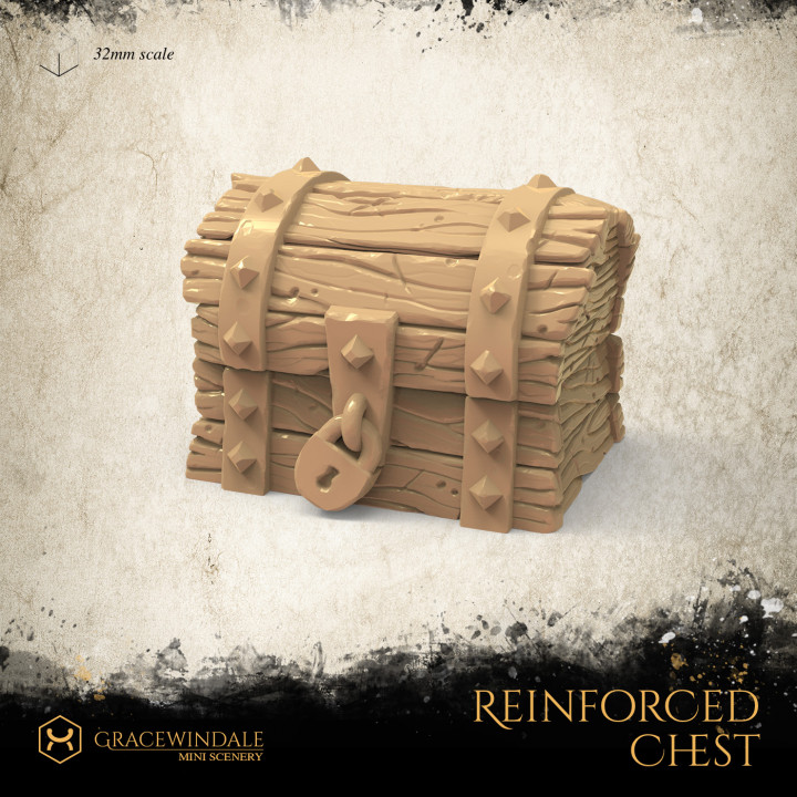 Reinforced Chest image