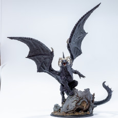 Picture of print of Adult Black Dragon