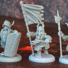 Picture of print of DWARF: Full Plate Add-ons /Modular/ /Pre-supported/