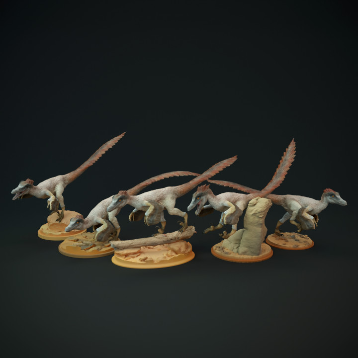 Velociraptor pack - dinosaur raptor image