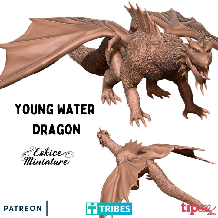 Young water dragon - 28mm image