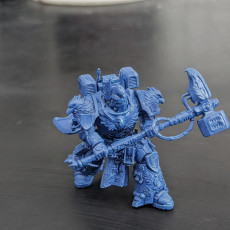 Picture of print of Imperial Marine Master of the order of Heavens