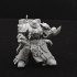 Imperial Marine Master of the order print image