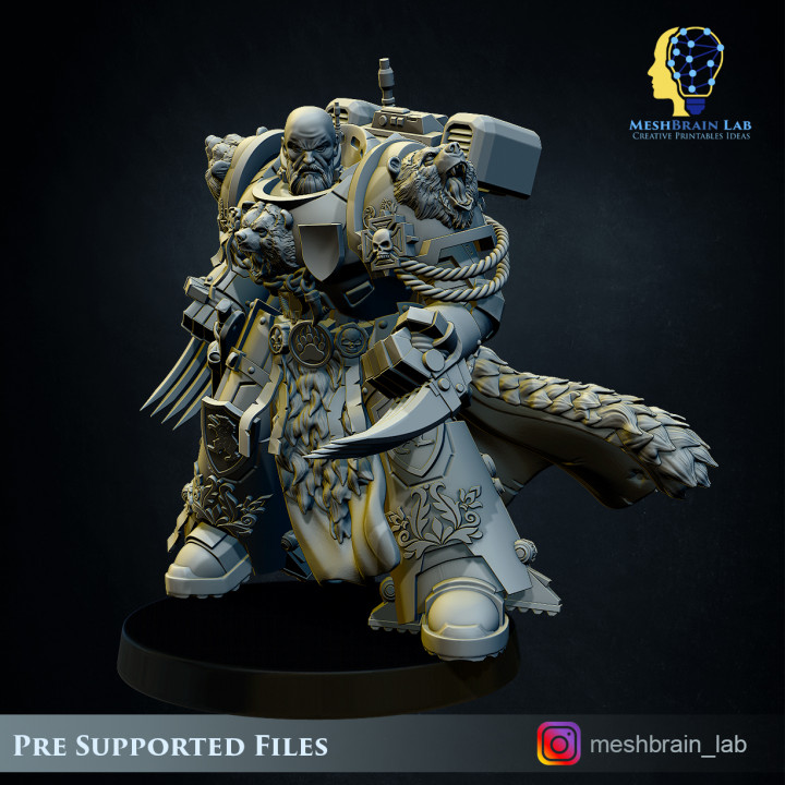 Imperial Marine Master of the order image