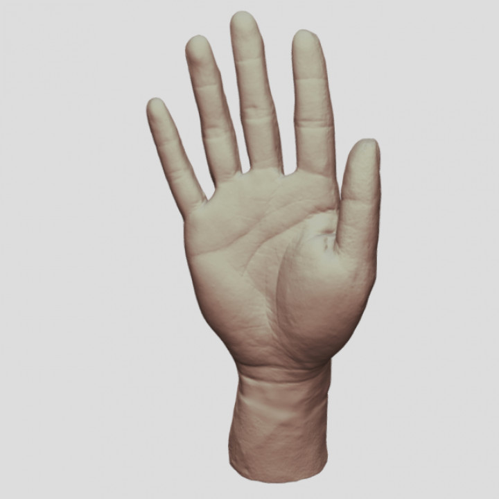 Hand Model（scanned by Revopoint MINI） image