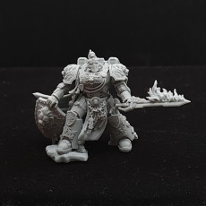 Picture of print of Imperial Marine Master of the order-02