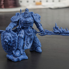 Picture of print of Imperial Marine Master of the order-02