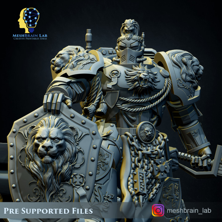 Imperial Marine Master of the order-02 image