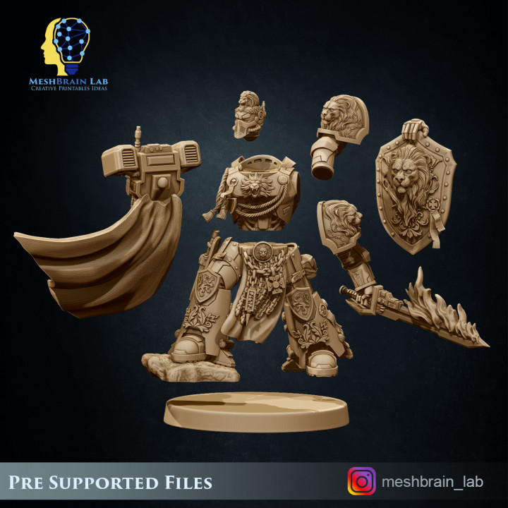 Imperial Marine Master of the order-02 image