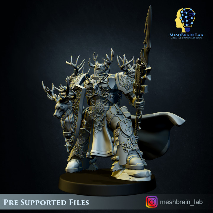 imperial Marine Master of the order -03 image