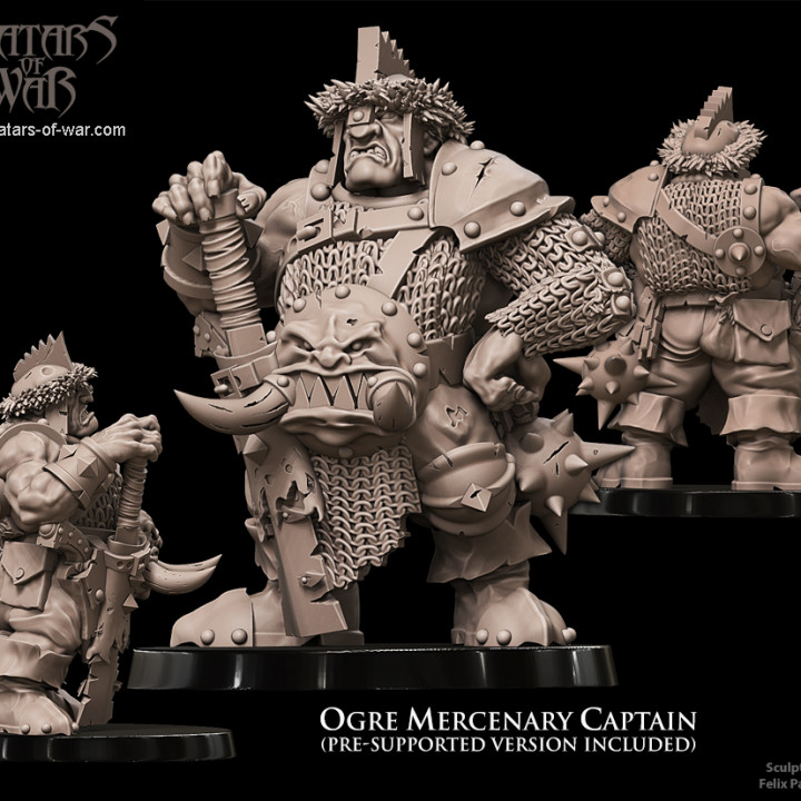 Ogre Mercenary Captain image