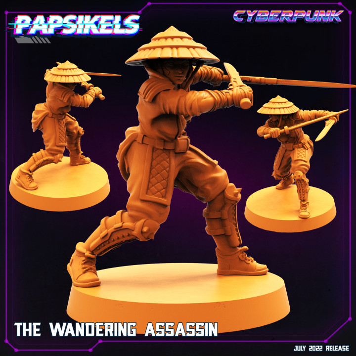 THE WANDERING ASSASSIN image