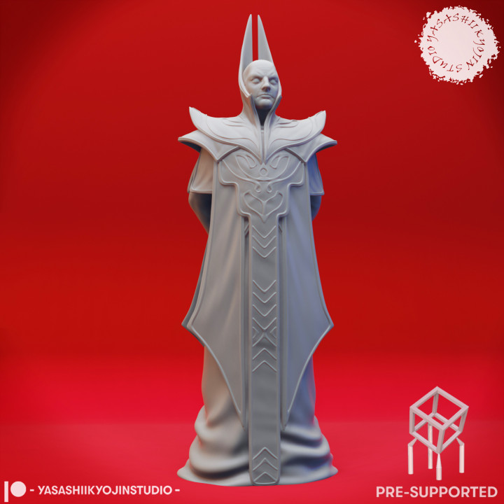 Red Wizard - Tabletop Miniatures (Pre-Supported) image