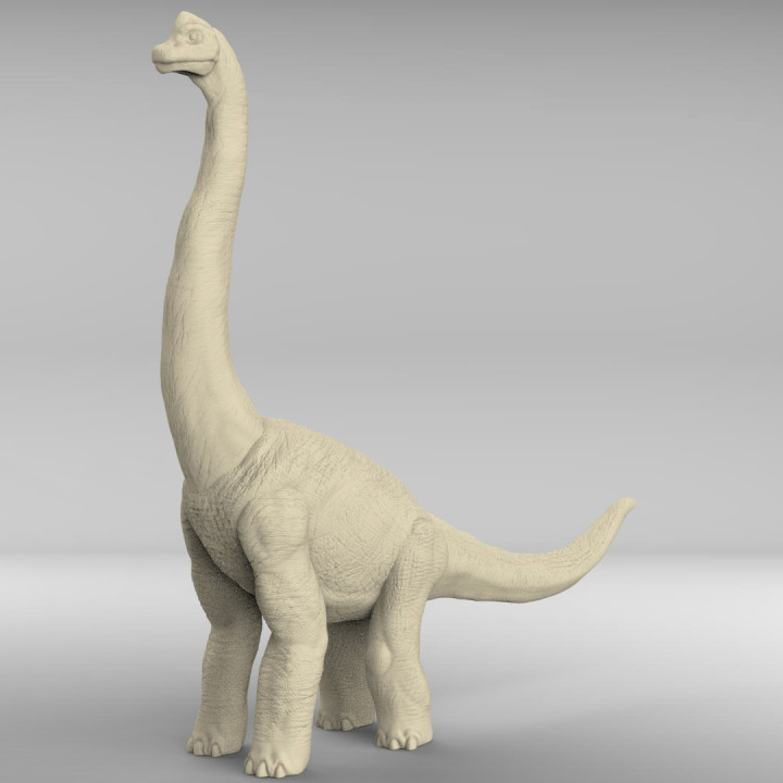 Brachy Long Neck (Brachiosaurus) image