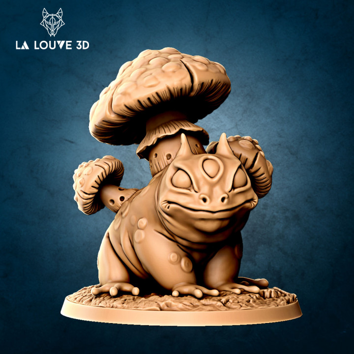 Toad mushroom image