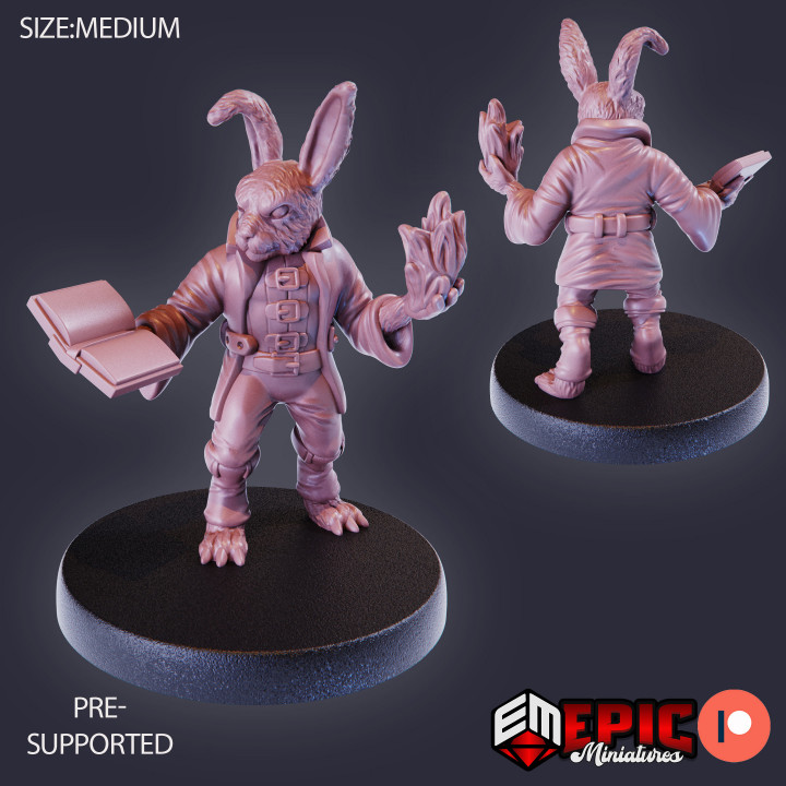 3D Printable Bunny Wizard / Rabbit Magician / Rodent Sorcerer / Hare ...