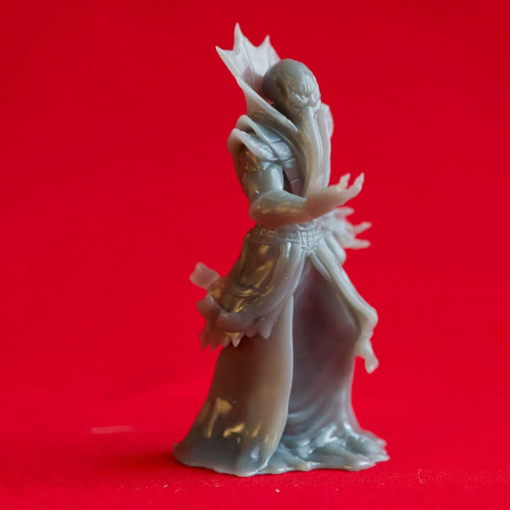 Cthulid Mage - Book of Beasts - Tabletop Miniature (Pre-Supported) image