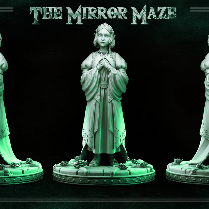 Elf Princess - Enora -  THE MIRROR MAZE - MASTERS OF DUNGEONS QUEST image