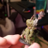Lizardfolk (Set of 5) (Pre-Supported) print image