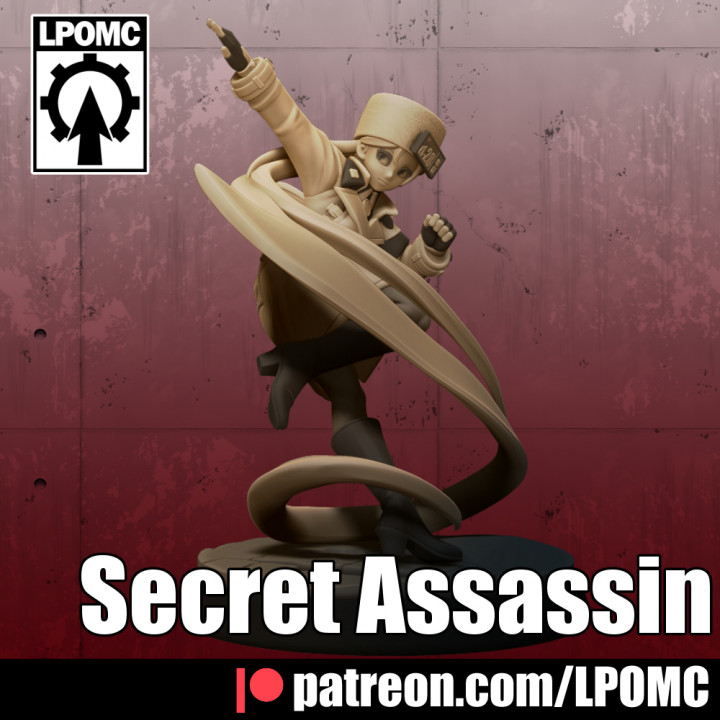 Secret Assassin image