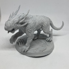 Picture of print of Dracoalmanir (5e stat block included)