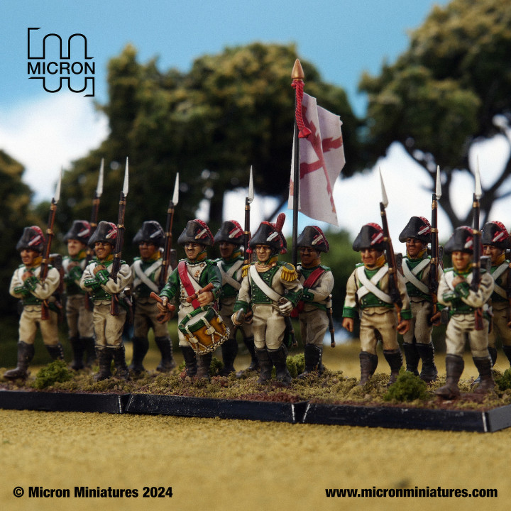Modular Spanish Infantry Battalion image