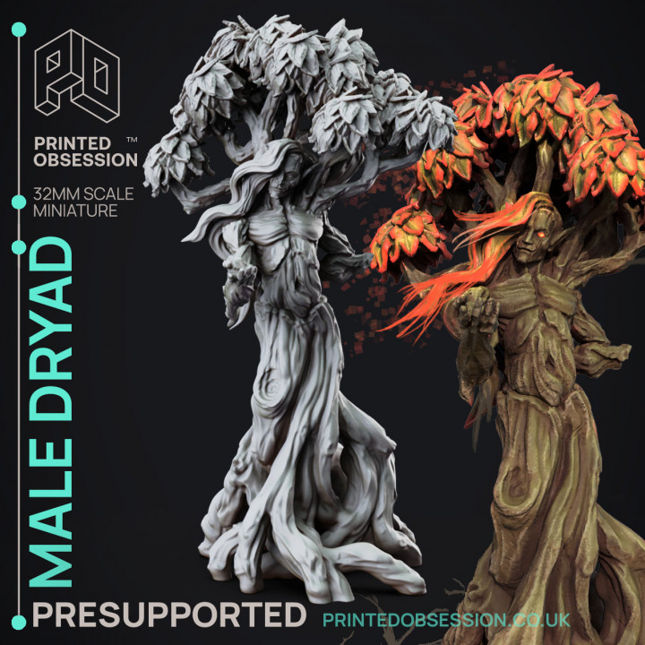 Dryad - Faywild Forest Spirit - PRESUPPORTED - 32mm scale image