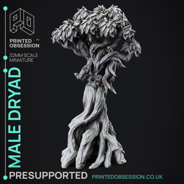 Dryad - Faywild Forest Spirit - PRESUPPORTED - 32mm scale image