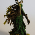 Lord of the Roots - Arch Fay - PRESUPPORTED - 32mm scale print image
