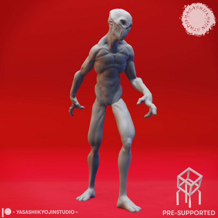 Doppelganger True Form - Tabletop Miniature (Pre-Supported) image