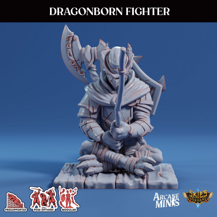 Dragonborn Fighter - Scrapper Pirates image