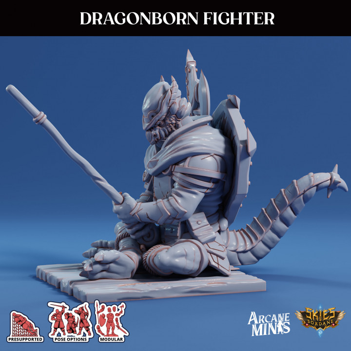 Dragonborn Fighter - Scrapper Pirates image