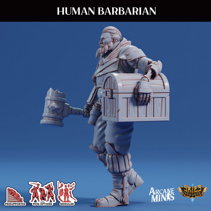 Human Barbarian - Scrapper Pirates image