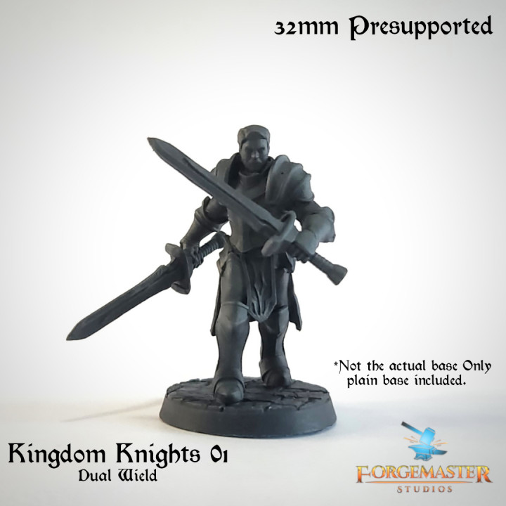 Kingdom Knights 01 Dual Wield image