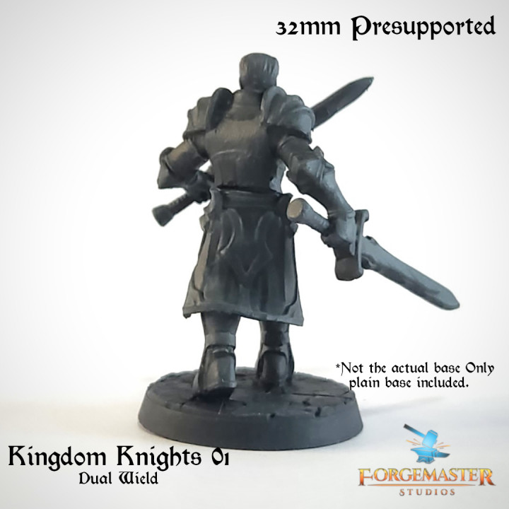 Kingdom Knights 01 Dual Wield image