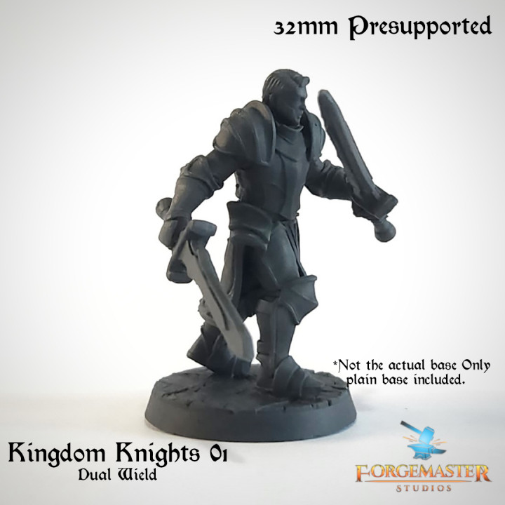 Kingdom Knights 01 Dual Wield image