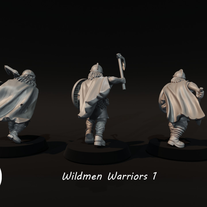 Wildmen Warriors 1