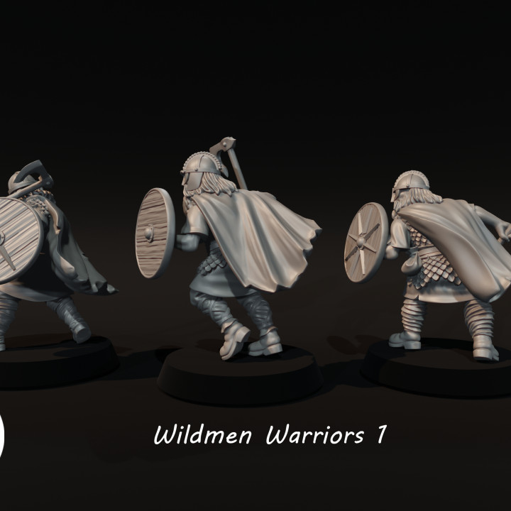 Wildmen Warriors 1 image