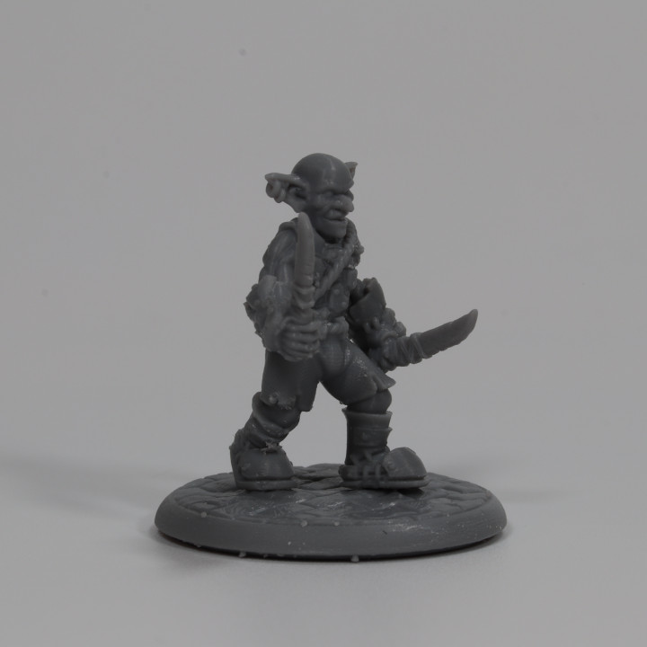 Classic Goblin - Daggers - Standing image