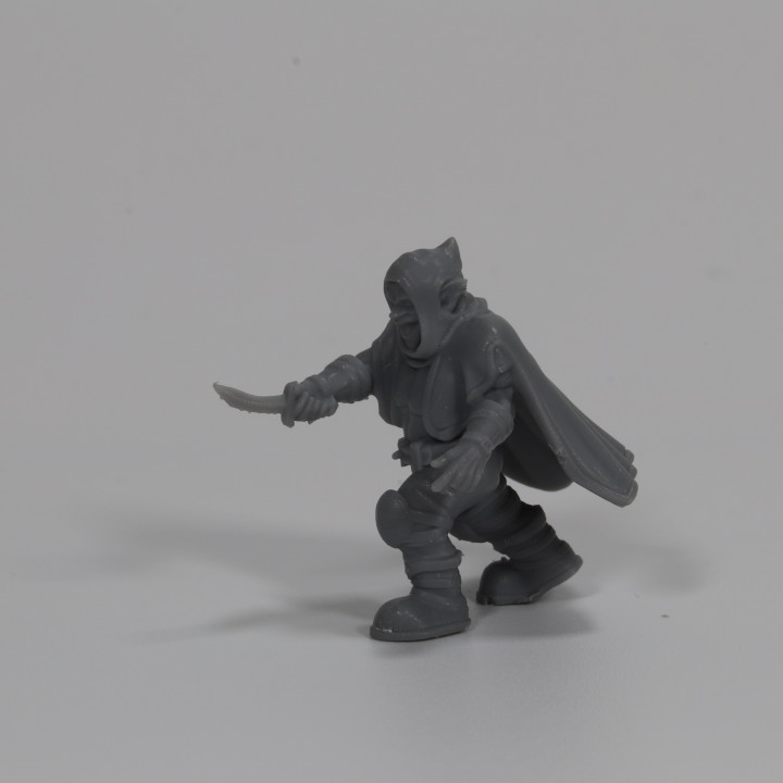 Goblin Assassin - Stabbing image